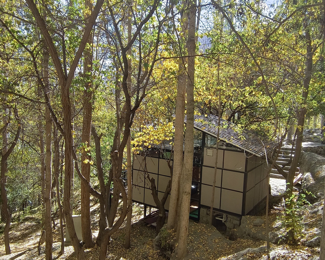 Others 4, Kalp With Forest View- Cloud Nine and a Half Hunza, Northern Areas
