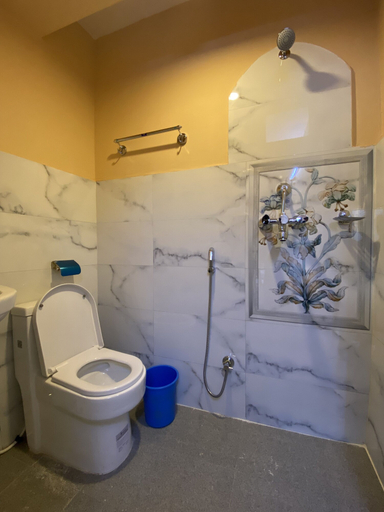 Bathroom 3, The eagle Zone, Gandaki