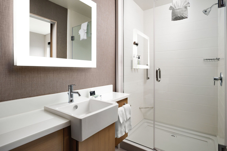 Bathroom 3, SpringHill Suites by Marriott Milpitas Silicon Valley, Santa Clara
