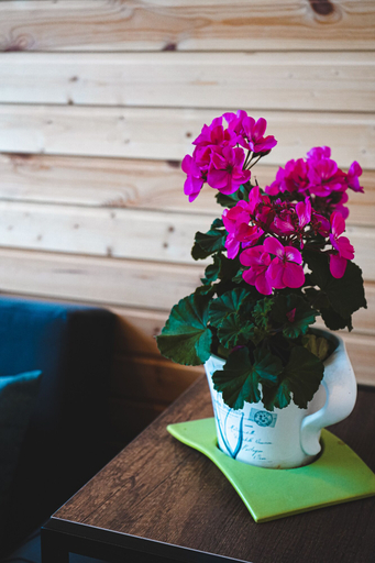 Food & Drinks 5, Traveler's Cottage in Kazbegi, Kazbegi