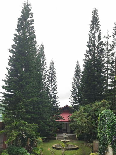 Scenery