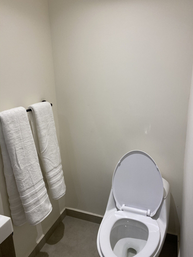 Bathroom 3, Casa Londres, Mexico City