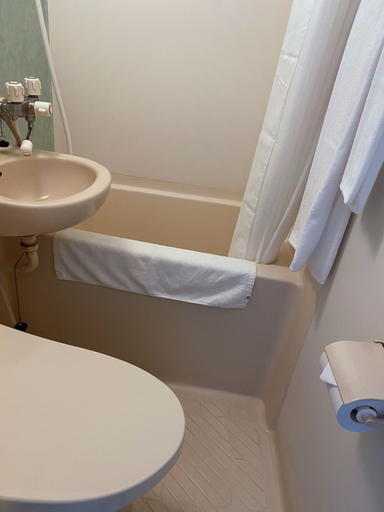 Bathroom 4, Grand Park Hotel Panex Kimitsu, Kimitsu