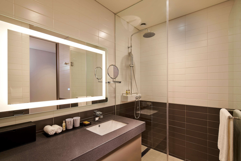 Bathroom 5, Hilton Garden Inn Seoul Gangnam, Seocho