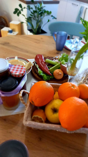 Food & Drinks 5, Holiday Home Paunovaca, Erdut