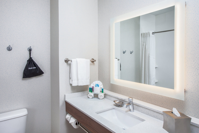 Bathroom 5, Holiday Inn Express & Suites TEXARKANA by IHG, Bowie