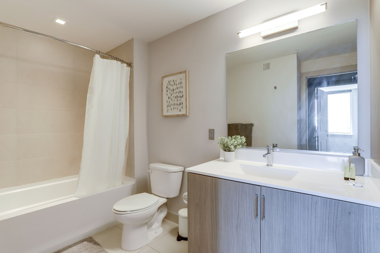 Bathroom 4, Fantastic Condo Crystal City Rooftop, Arlington