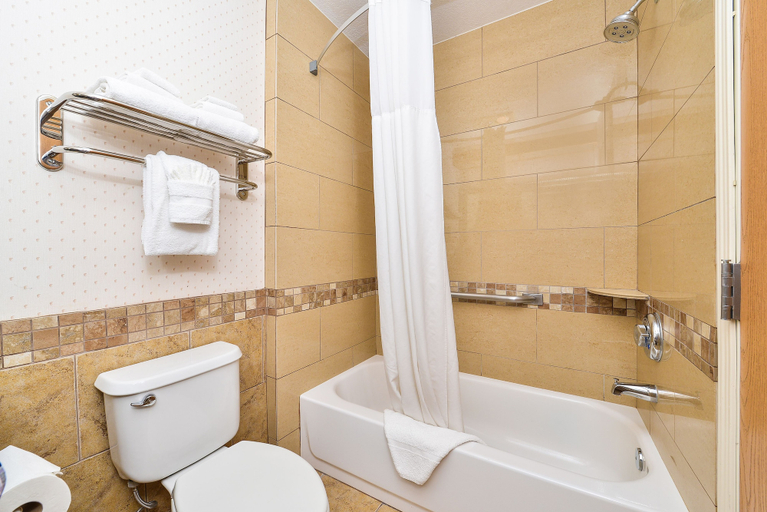 Bathroom 5, Comfort Inn & Suites Durango, La Plata