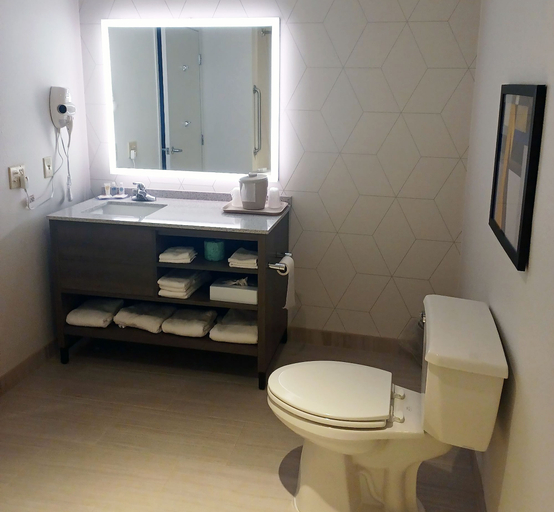 Bathroom 3, Comfort Inn Edinburgh - Columbus, Bartholomew