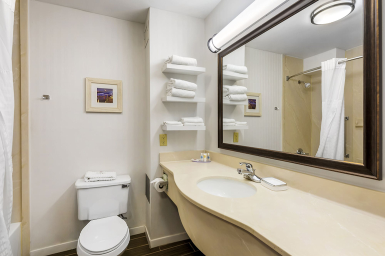 Bathroom 4, Comfort Inn, Cleveland South - Richfield, Summit