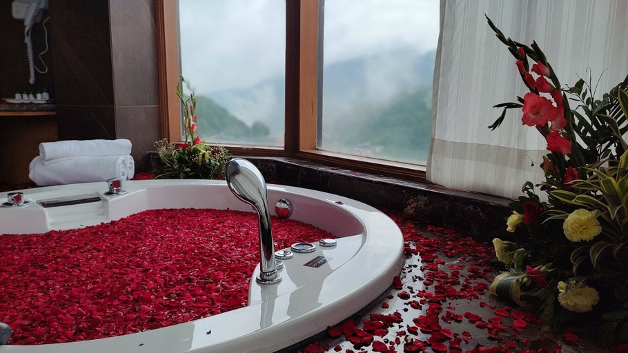 Bathroom 4, Rosetum Kasauli, Solan