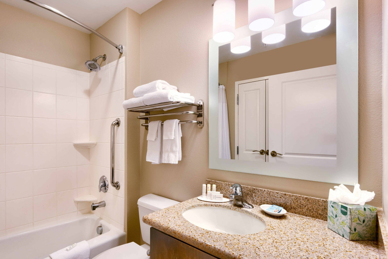 Bathroom 5, TownePlace Suites by Marriott Elko, Elko