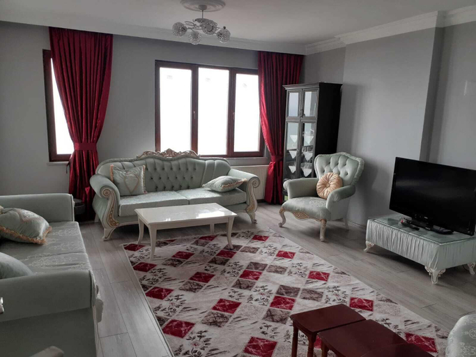 Living room 4, BESIRLI APART, Merkez