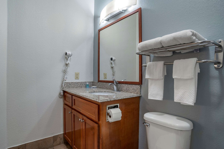 Bathroom 4, MainStay Suites Denham Springs - Baton Rouge East, Livingston