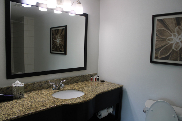 Bathroom 4, Wingate by Wyndham Houma LA, Terrebonne