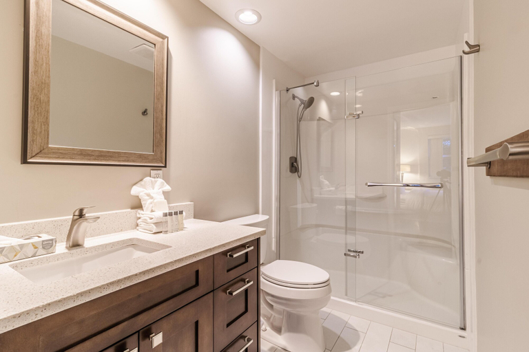 Bathroom 4, Elevate Real Estate Management Snowbird - 203, Squamish-Lillooet