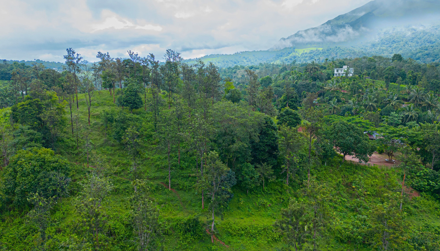Others 5, Misty Heights by The Sanihara, Wayanad