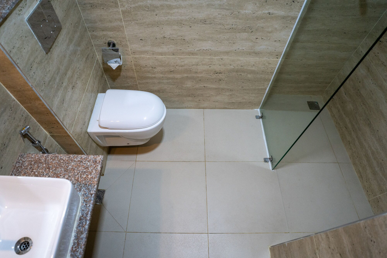 Bathroom 3, Avocado and Orchid Resort, Narayani