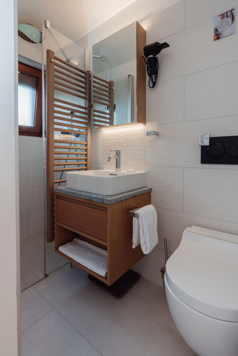 Bathroom 3, Hotel Panorama, Sierre