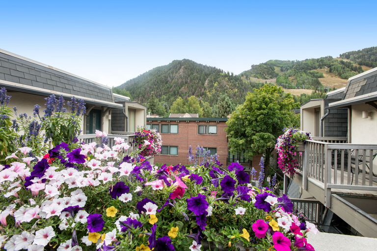 Exterior & Views 2, Château Chaumont by Snowmass Vacations, Pitkin