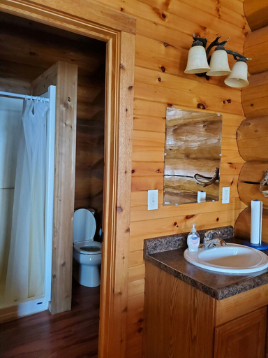 Bathroom, Aqua Log Cabins Resort, Keweenaw