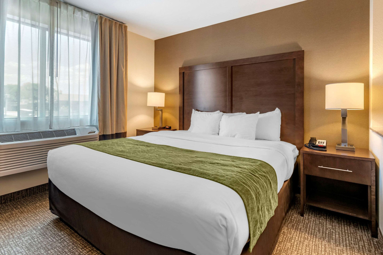 Bedroom 3, Comfort Inn Williamsport, Lycoming