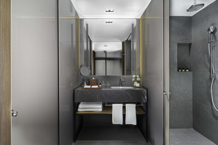 Bathroom 5, Hyatt Regency Mexico City Insurgentes - WTC, Mexico City