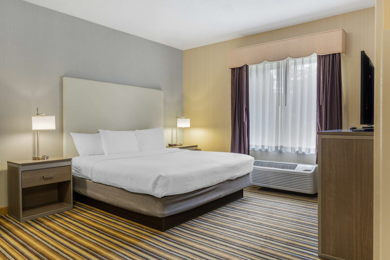 Bedroom 4, Best Western Plus New England Inn & Suites, Hartford