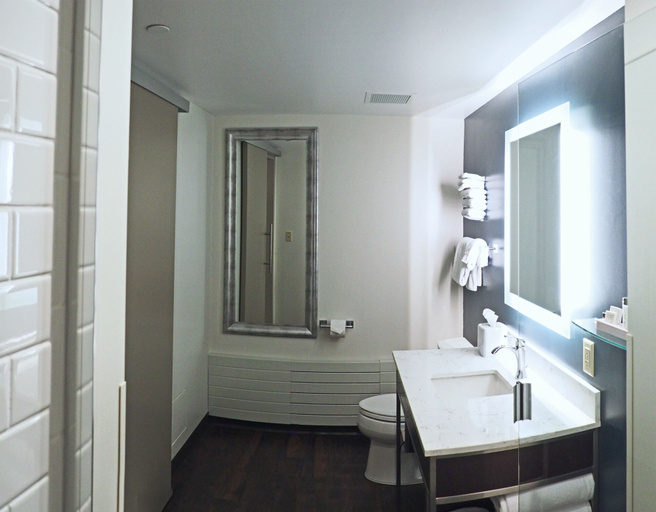 Bathroom 4, Kahler Grand Hotel, Olmsted