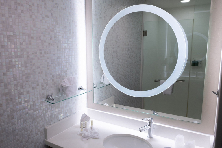 Bathroom 4, SpringHill Suites Dallas Lewisville, Denton