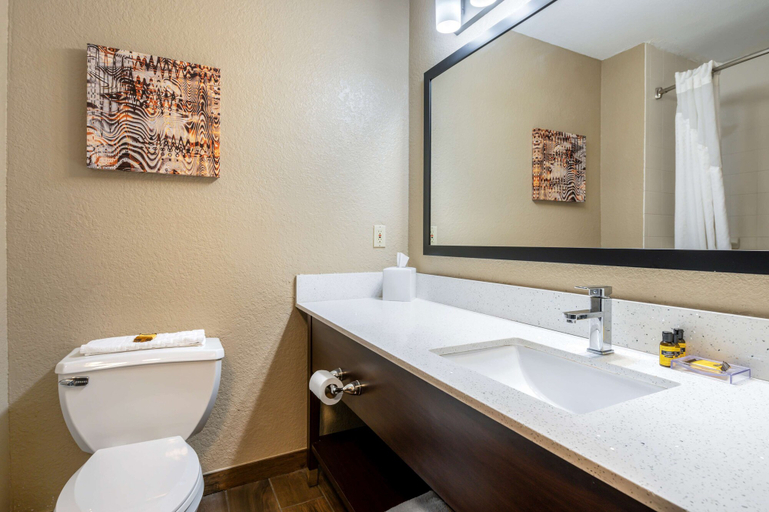 Bathroom 5, Best Western Plus Warsaw, Kosciusko
