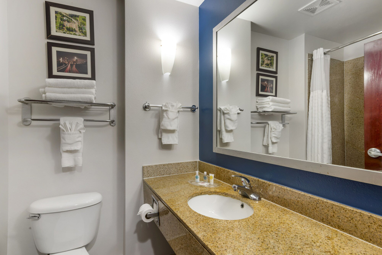 Bathroom 4, Comfort Suites Atlanta Airport, Clayton