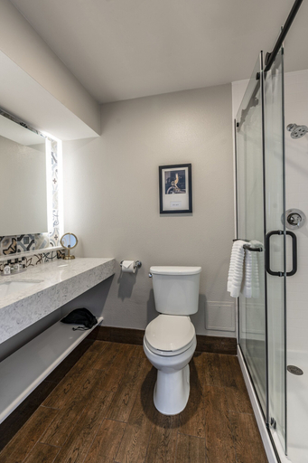 Bathroom 4, St Charles Coach House, an Ascend Collection Hotel, Orleans