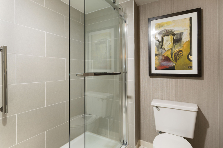 Bathroom 5, DoubleTree Suites by Hilton Nashville Airport, Davidson