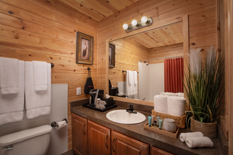 Bathroom 5, Capitol Reef Resort, Wayne