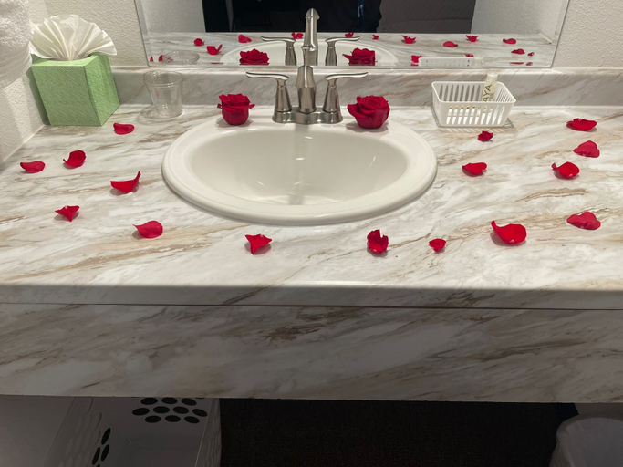 Bathroom 4, Castle Rock, Coconino