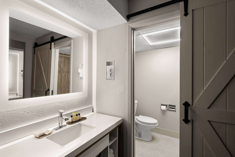 Bathroom 2, Wyndham Garden Ankeny/Des Moines, Polk