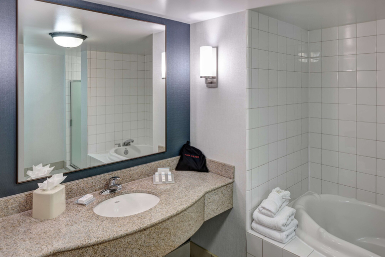 Bathroom 4, Hilton Garden Inn Savannah Airport, Chatham