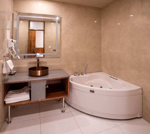 Bathroom 3, Woodville Palace Shimla Heritage, Shimla
