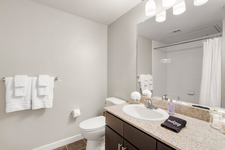 Room 2, Dallas Beautiful 1BD 1BA Downtown Apartment, Dallas