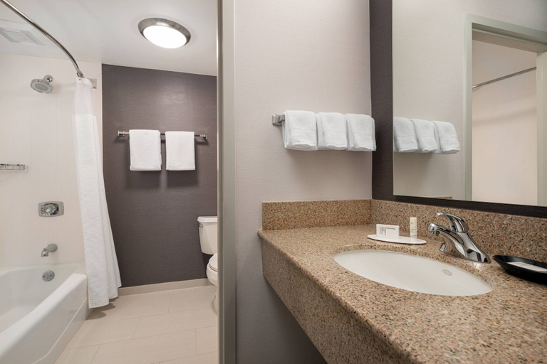 Bathroom 5, Courtyard Fremont Silicon Valley, Alameda