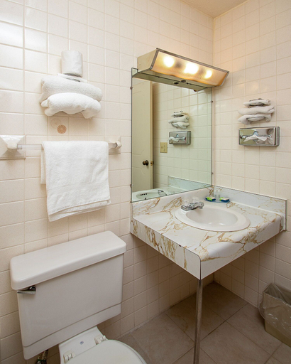 Bathroom 4, Country Squire Inn & Suites, Coshocton