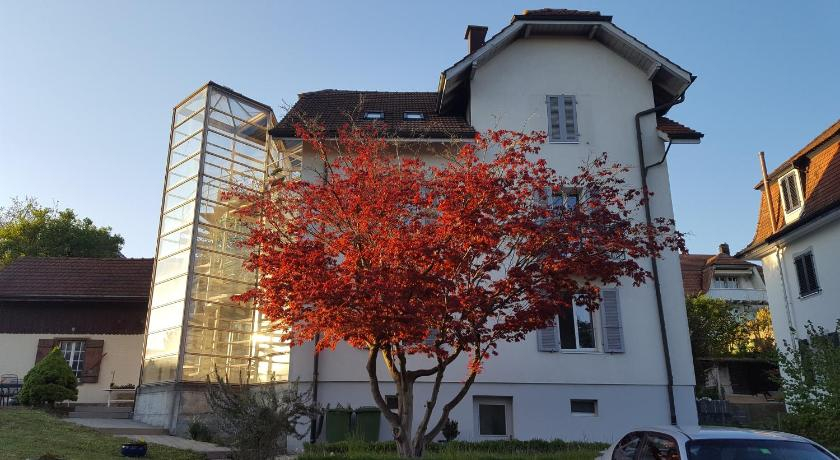 Casa Carmela, Solothurn