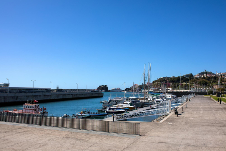 Room 5, Ribeira das Casas Apt 1A by Homie, Funchal