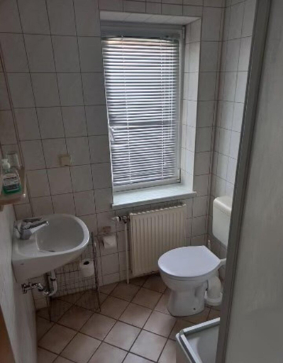 Bathroom 5, Gasthaus & Pension Zum Schwarzen Adler, Uckermark