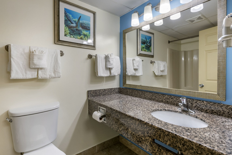 Bathroom 4, Tropical Winds Oceanfront Hotel, Volusia