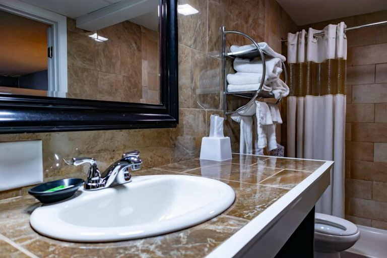 Bathroom 4, Route 66 Hotel, Springfield, Illinois, Sangamon