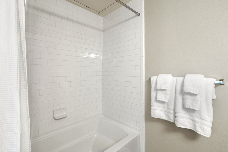 Room 5, Dallas Beautiful 1BD 1BA Downtown Apartment, Dallas