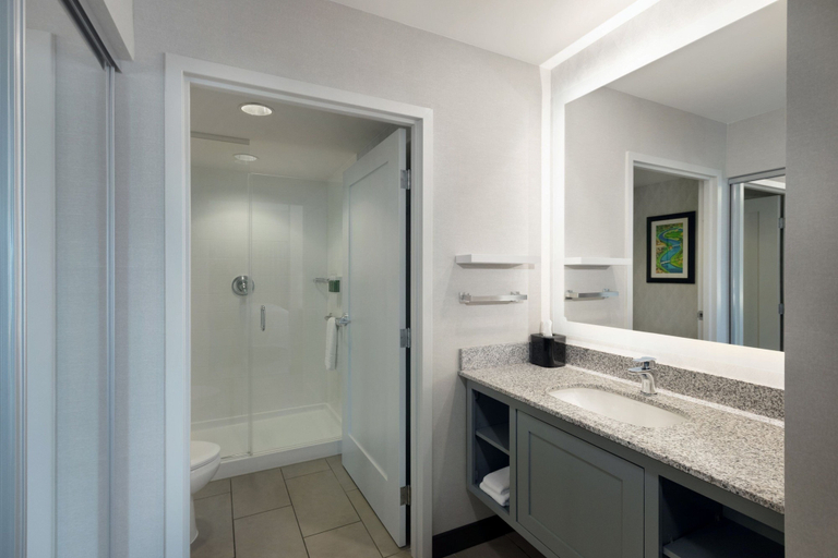 Bathroom 3, Residence Inn by Marriott Boston Back Bay/Fenway, Boston