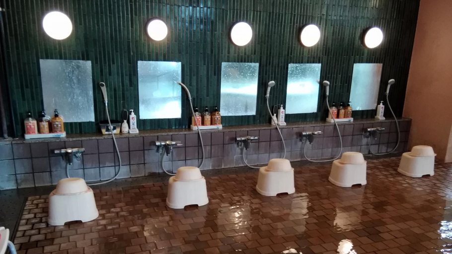 Bathroom 4, Mitsui Bekkan, Sakaiminato